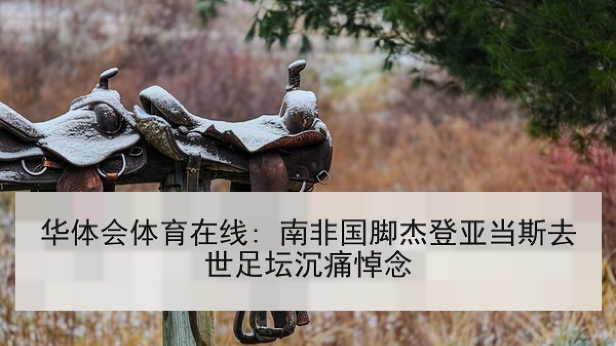 华体会体育在线: 南非国脚杰登亚当斯去世足坛沉痛悼念