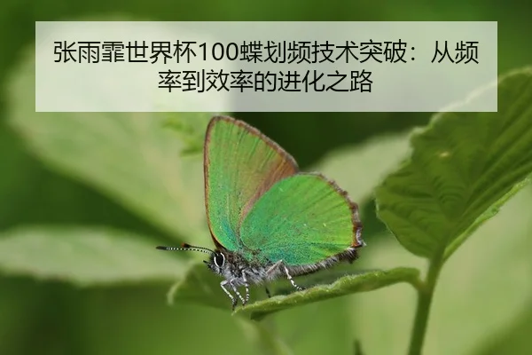 zhang-yu-fei-shi-jie-bei-die-hua-pin-ji-shu-tu-po-cong-pin-lv-dao-xiao-lv-de-jin-hua-zhi-lu-3-385.jpg