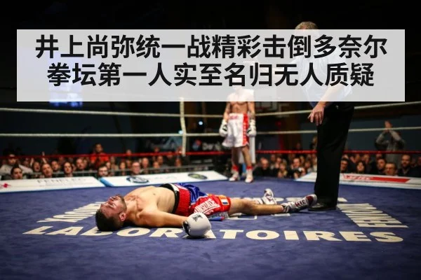 井上尚弥统一战精彩击倒多奈尔 拳坛第一人实至名归无人质疑