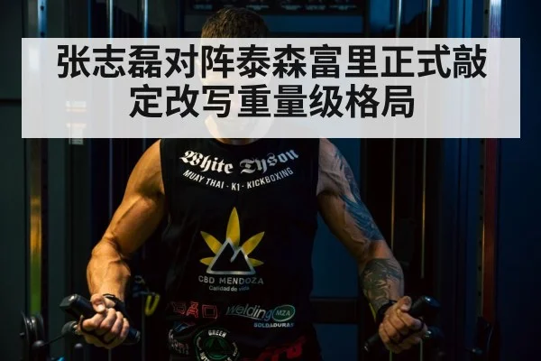 Tyson Fury boxing